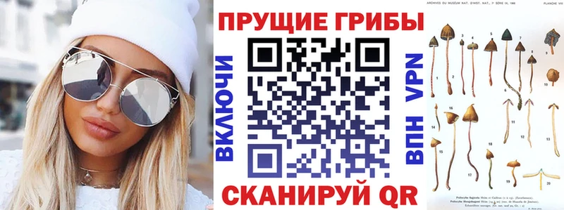 Псилоцибиновые грибы мухоморы  Курильск 
