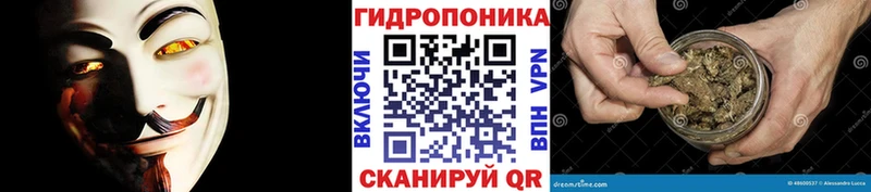 где купить   Курильск  KRAKEN онион  Шишки марихуана MAZAR 